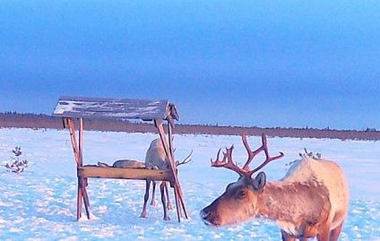 ����������